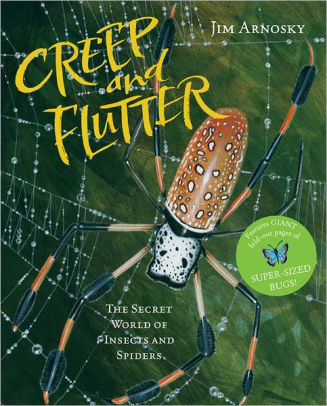 Creep and Flutter: The Secret World of Insects and Spiders