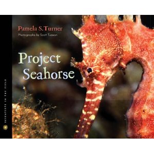 Project Seahorse (Scientists in the Field)