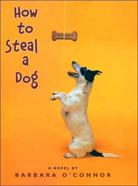 How to Steal a Dog
