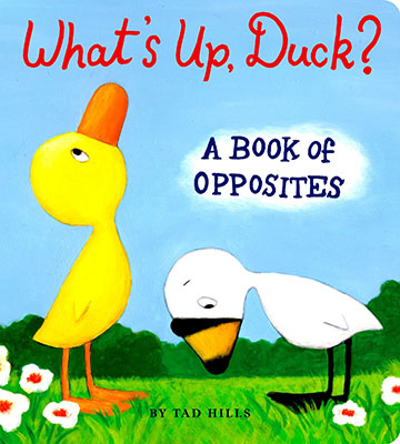 What's Up, Duck? A Book of Opposites