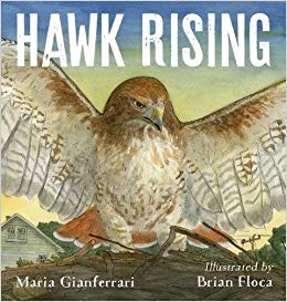 Hawk Rising