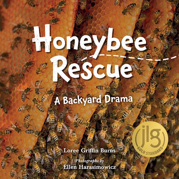 Honeybee Rescue: A Backyard Drama