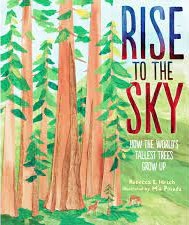 Rise to the Sky: How the World's Tallest Trees Grow Up
