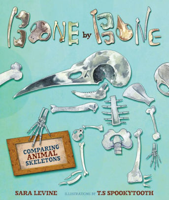 Bone by Bone: Comparing Animal Skeletons